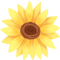 微信图片_20220901141654.png